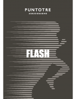 flash