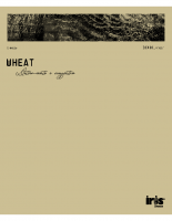 wheat